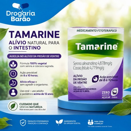 Tamarine geleia pote 240g