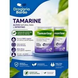 Kit c/ 2 Tamarine Geleia Pote 250g Cada Sabor Ameixa 